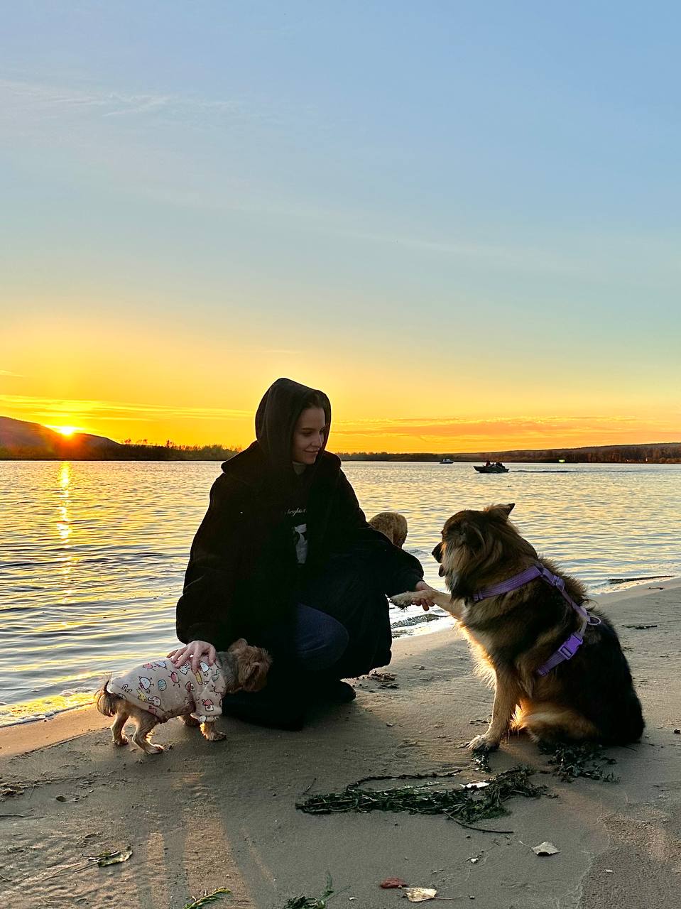 Йорк на зимней прогулке